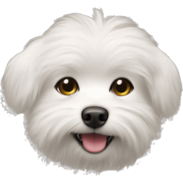 A tiny white dog with lots of fur emoji