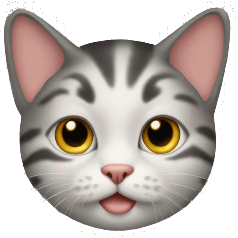 Un gatito gordito emoji