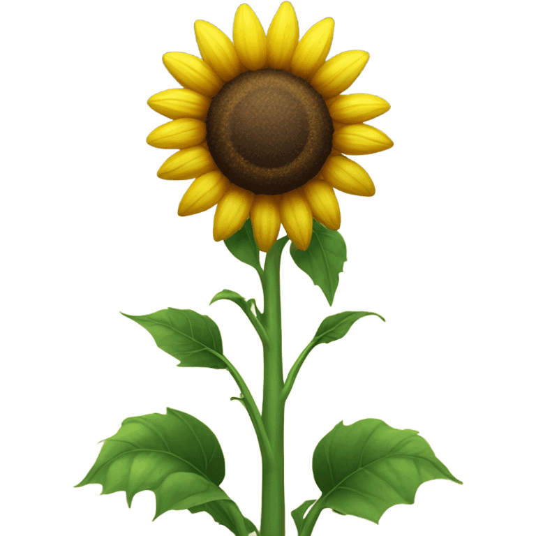 sunflower plant  emoji