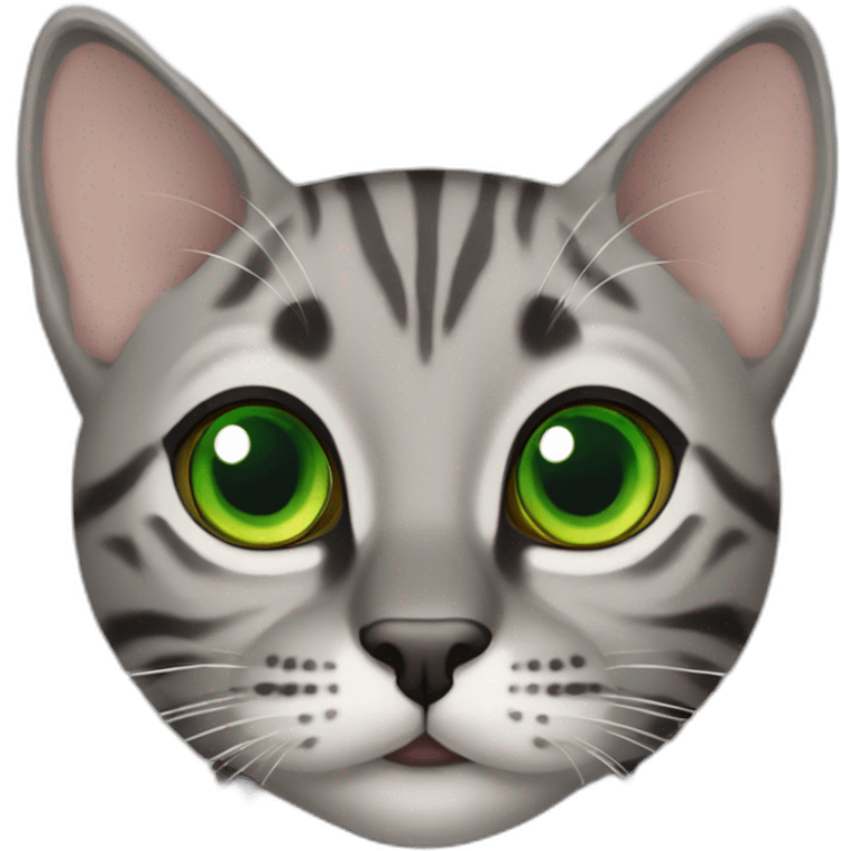 Grey big cute bengal cat green eyes emoji