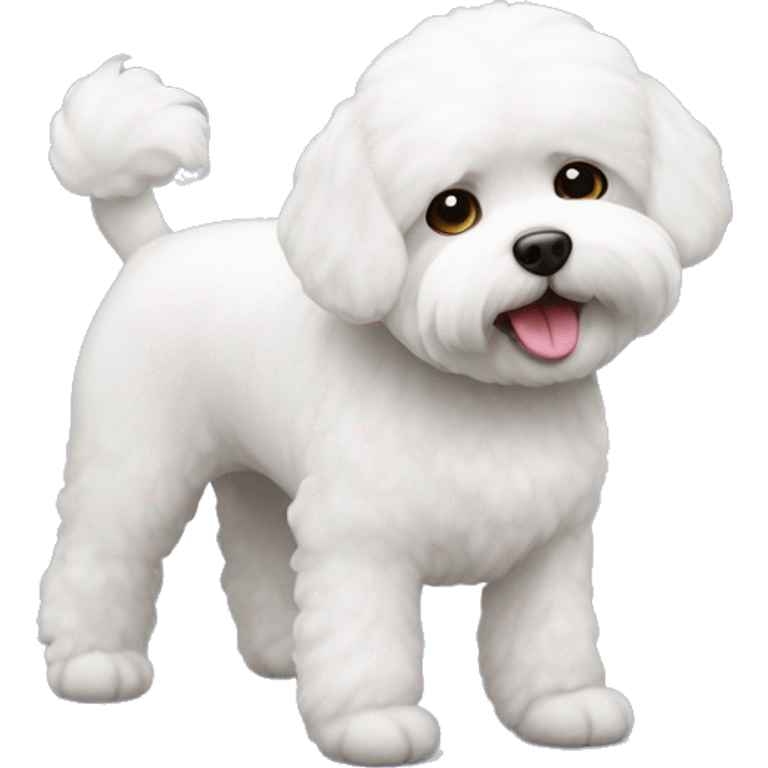 Bichon freise  emoji