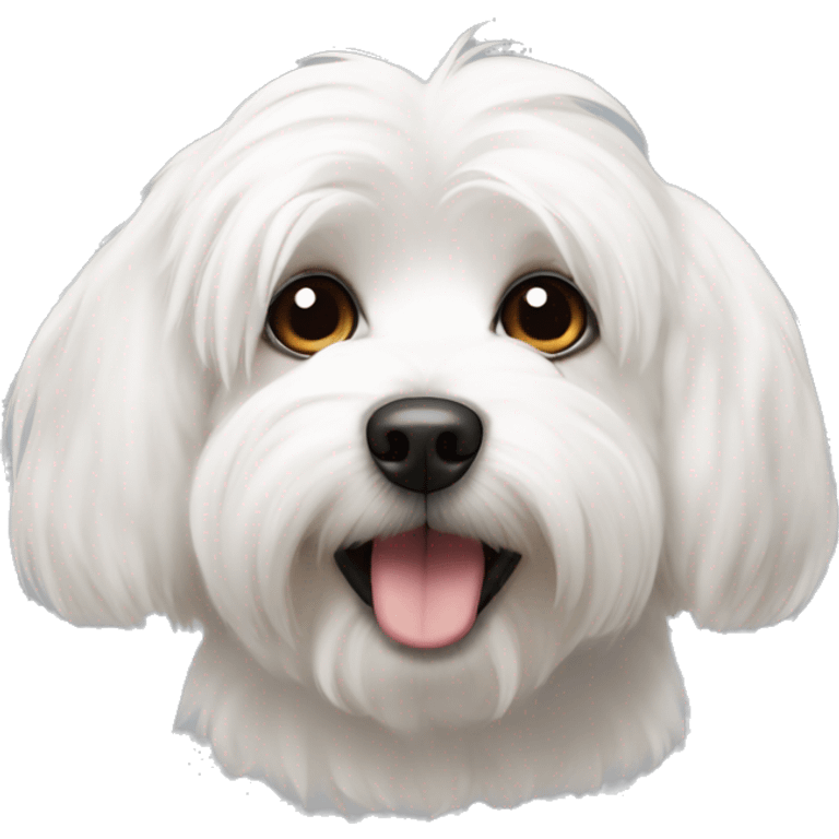 Coton De Tulear dog cute  emoji