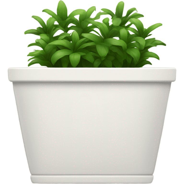 Long white rectangular flower pot with green plants only emoji