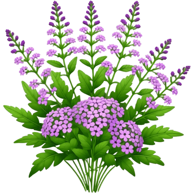 big bouquet Verbena, stem, leaf emoji