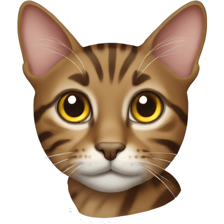 Brown tabby cat emoji