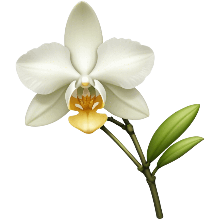 single white Dendrobium Orchid stem emoji