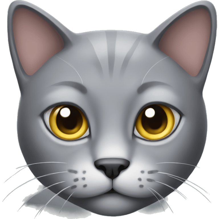 Grey cat with attitude  emoji