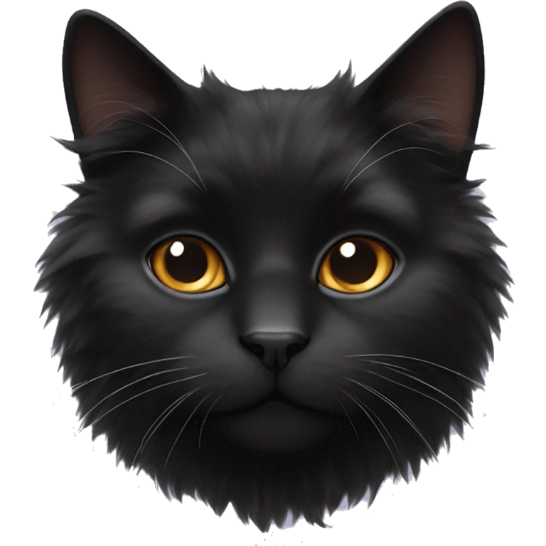 Black fluffy cat white nose  emoji