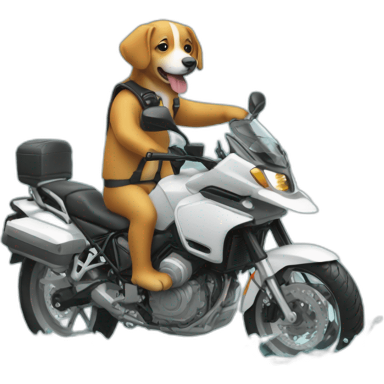 un chien sur une moto sur l'eau emoji