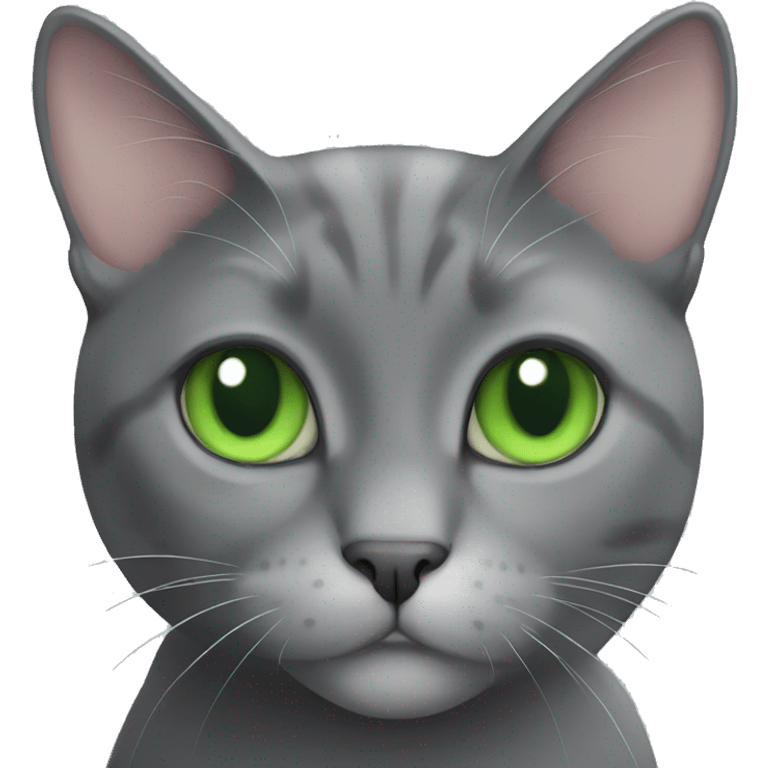 gray tuxedo cat with green eyes emoji