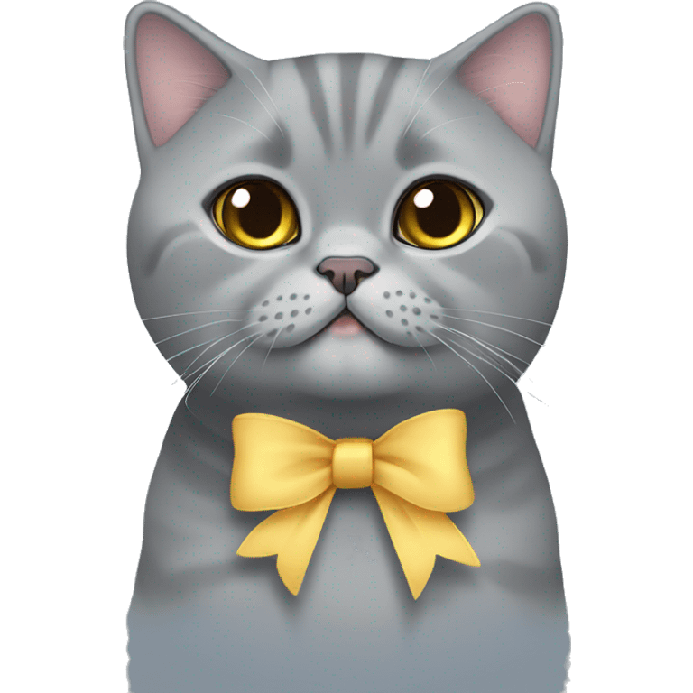 Grey british shorthair cute with bow emoji