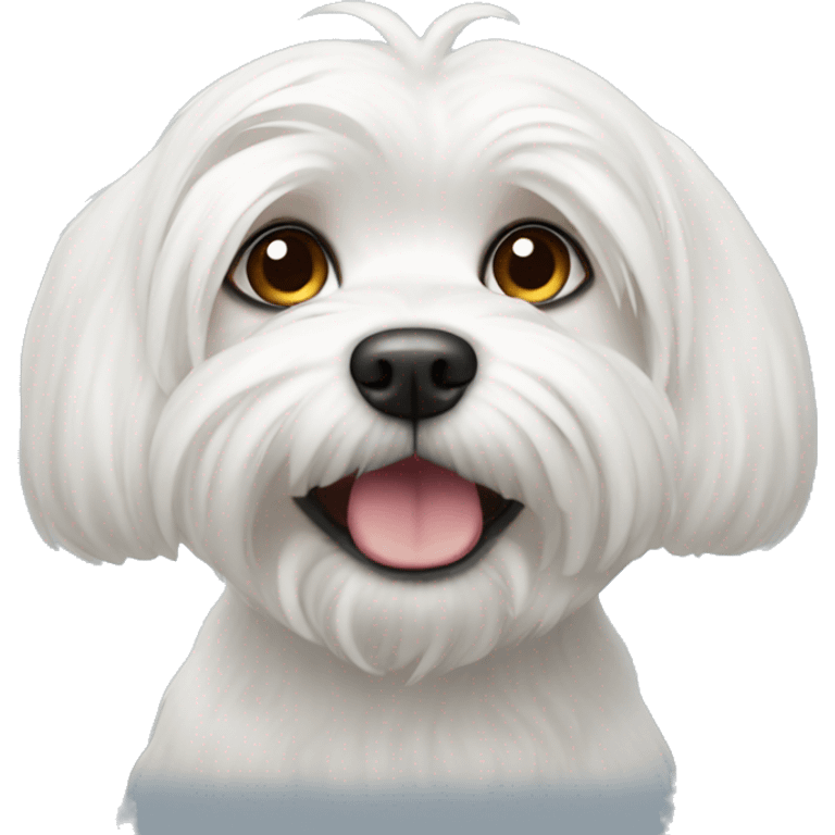 white maltese dog emoji