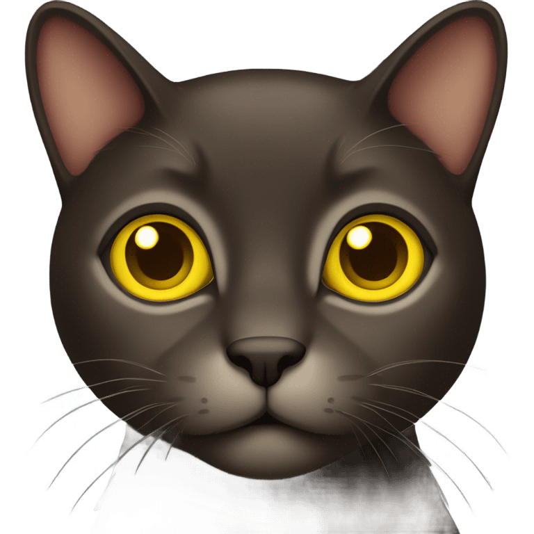 Dark brown cat with yellow eyes  emoji