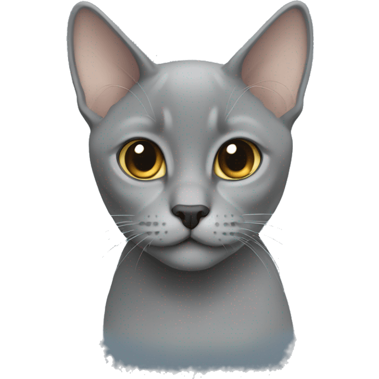 Grey british short hair emoji