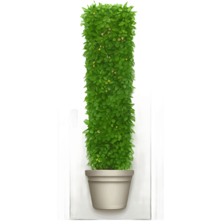 Very long white rectangular door pot with green plants  emoji