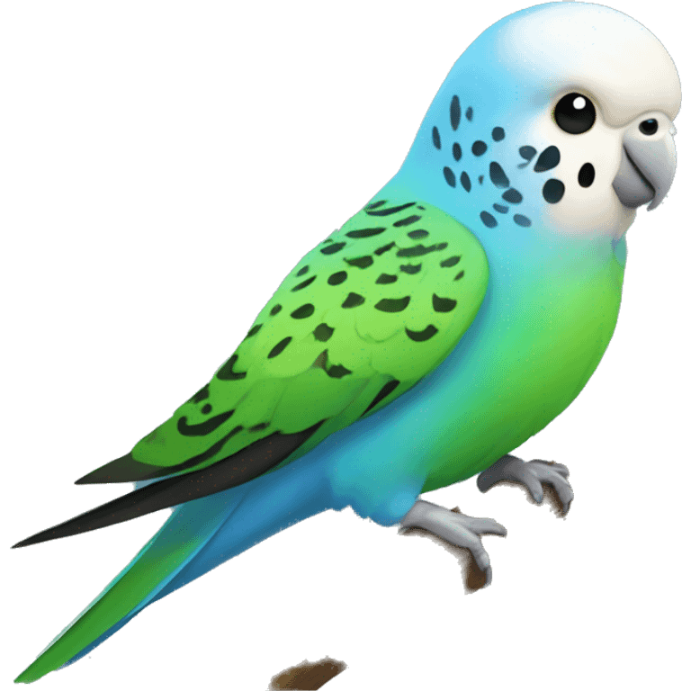 Budgie bird  emoji