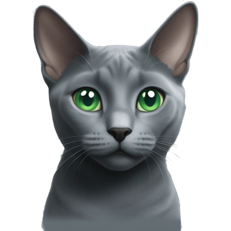 russian blue cat green eyes  emoji