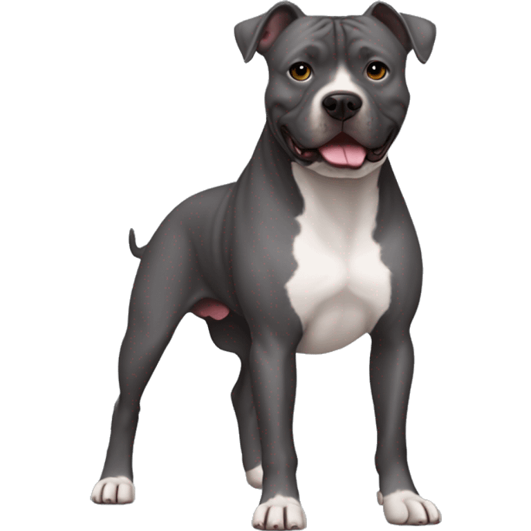 dark grey staffordshire terrier not only face, full body  emoji