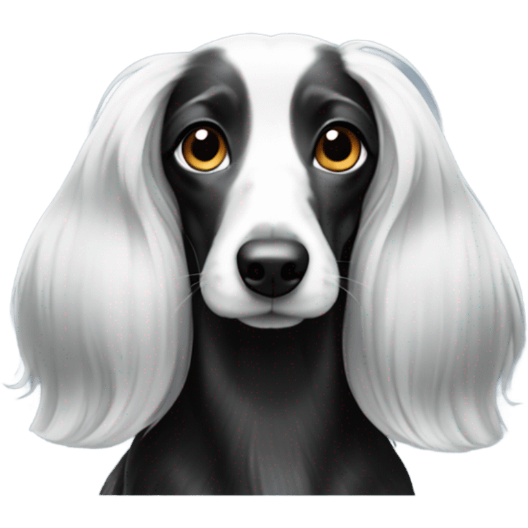 Black and white long haired dachshunds  emoji