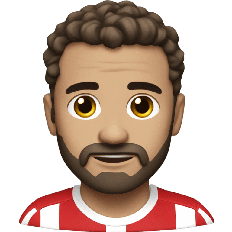 atletico madrid emoji