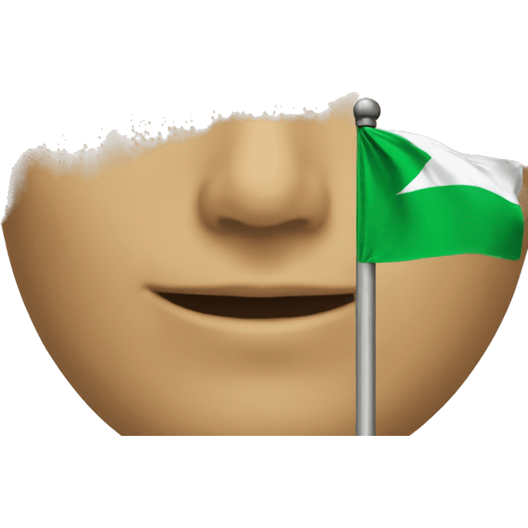 Syria green flag emoji