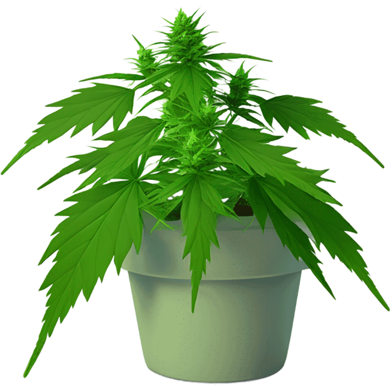 low poly Potted Indica weed cute  emoji