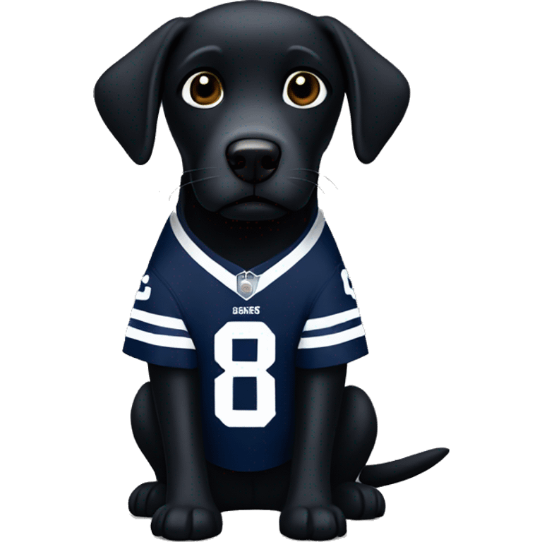 black labrador with dallas cowboys jersey emoji