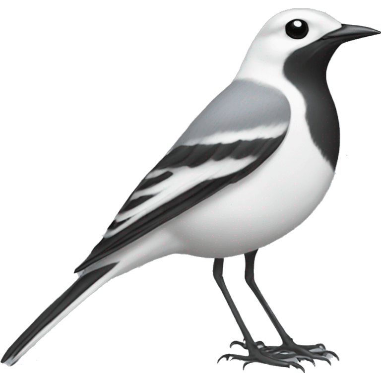 White wagtail emoji