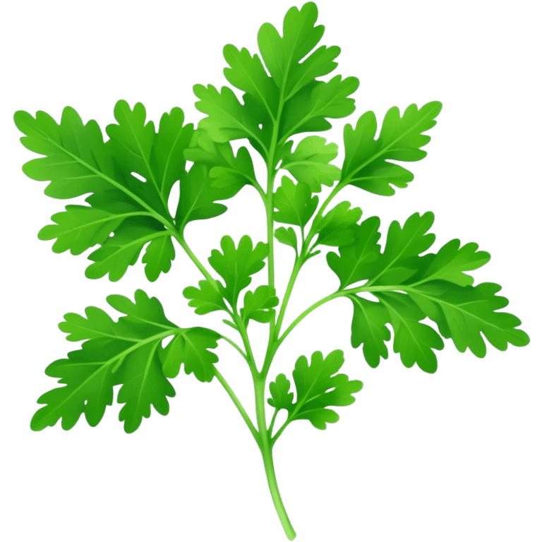 Cinematic Realistic Parsley Emoji, Fresh and vibrant, with bright green, frilly leaves that seem to shimmer with vitality. The plant exudes a sense of healthy growth and aromatic zest, inviting both beauty and flavor into any dish. Soft glowing outline, capturing the essence of freshness, health, and culinary delight in a sprig of parsley! emoji