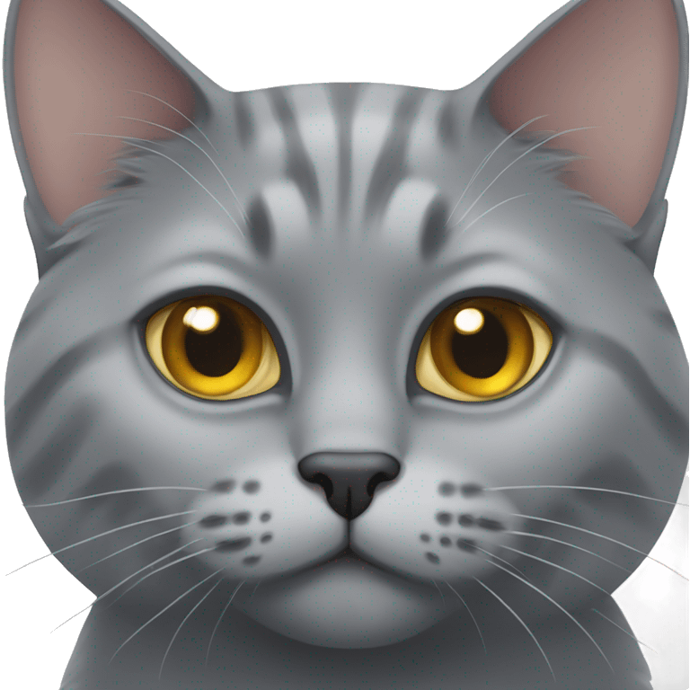 British gray cat emoji