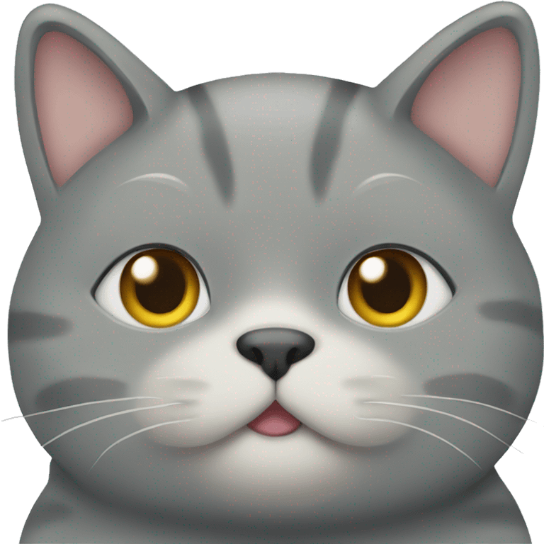 Grey cat chubby emoji