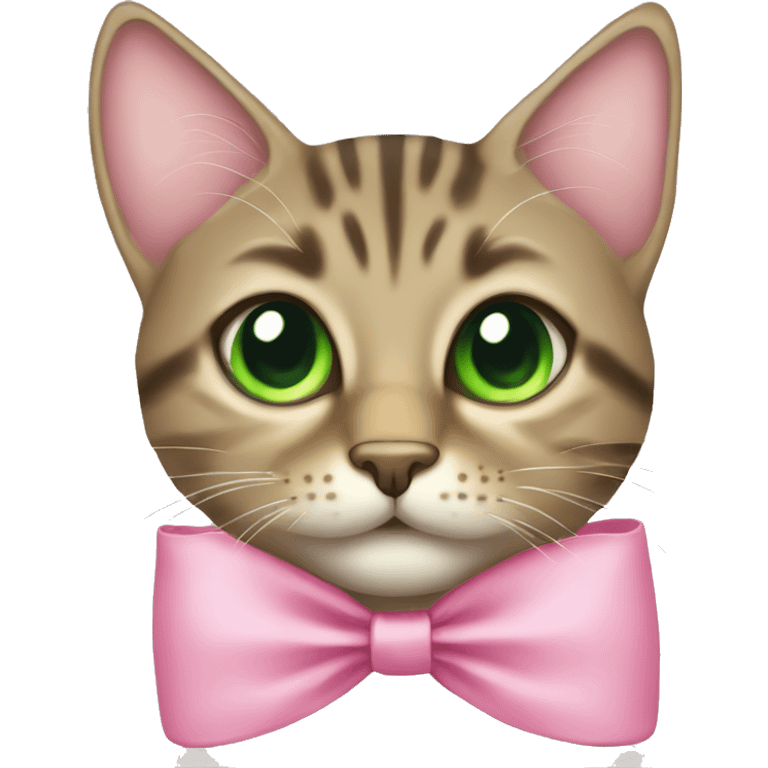 Tabby cat green eyes with pink bow emoji