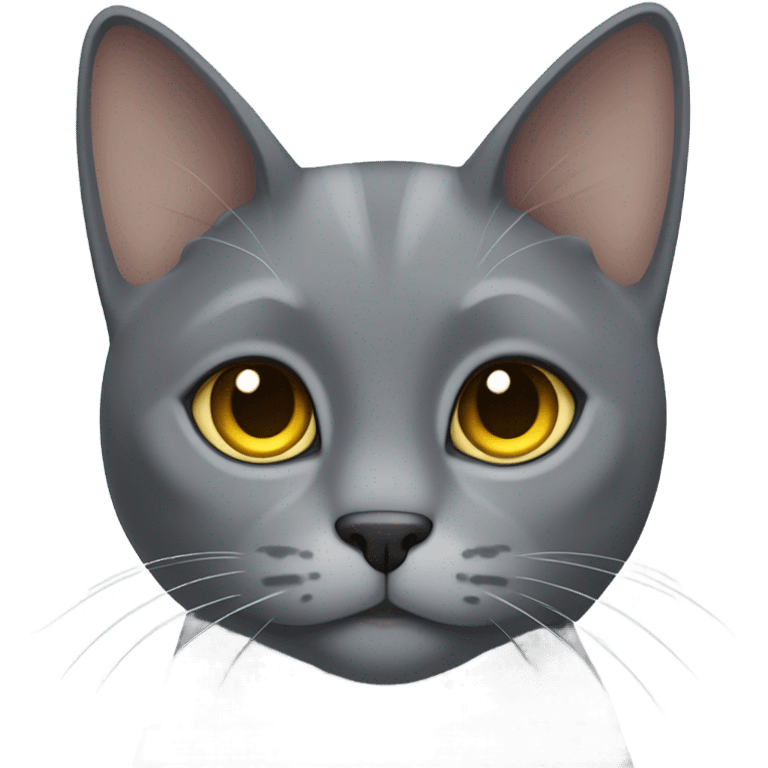 cat grey emoji