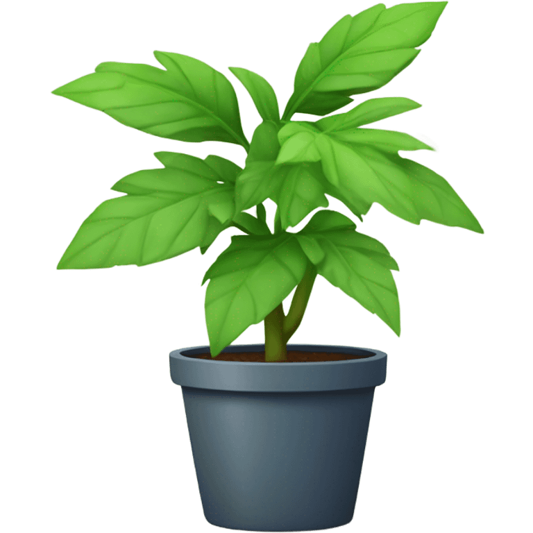 low poly Potted Indica cute  emoji