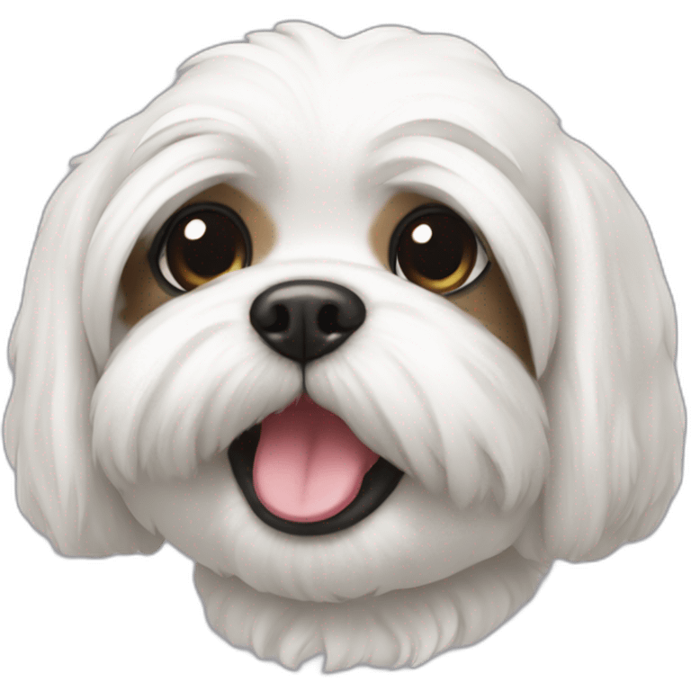 white-shih-zhu-smiling emoji