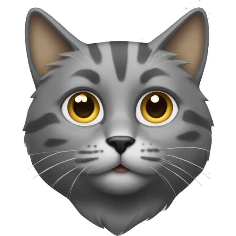 Grey and gold cat  emoji