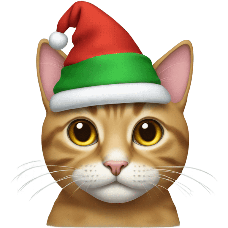 Cat wearing a Christmas hat  emoji