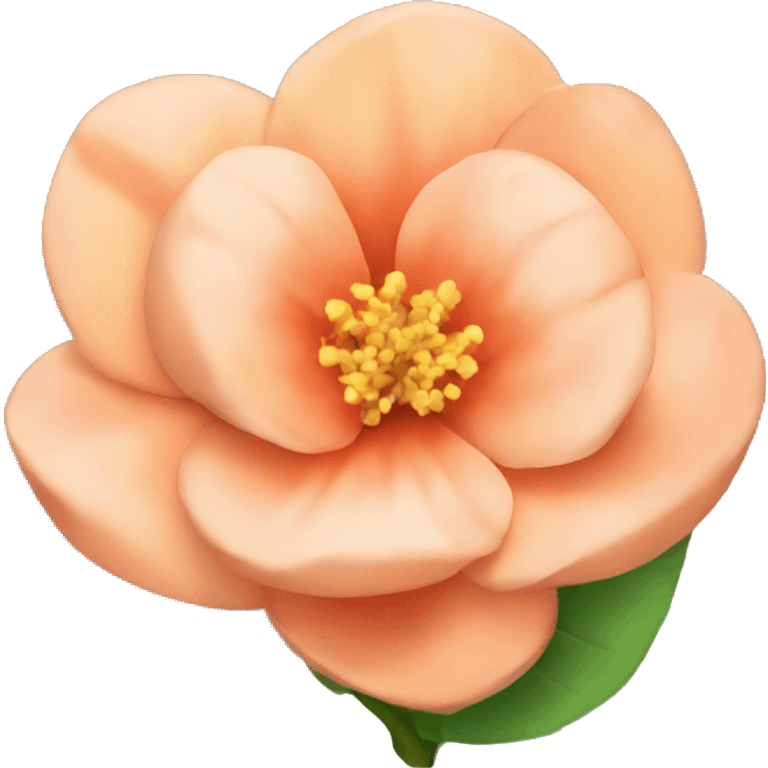 Peach colour Flower 🌹  emoji