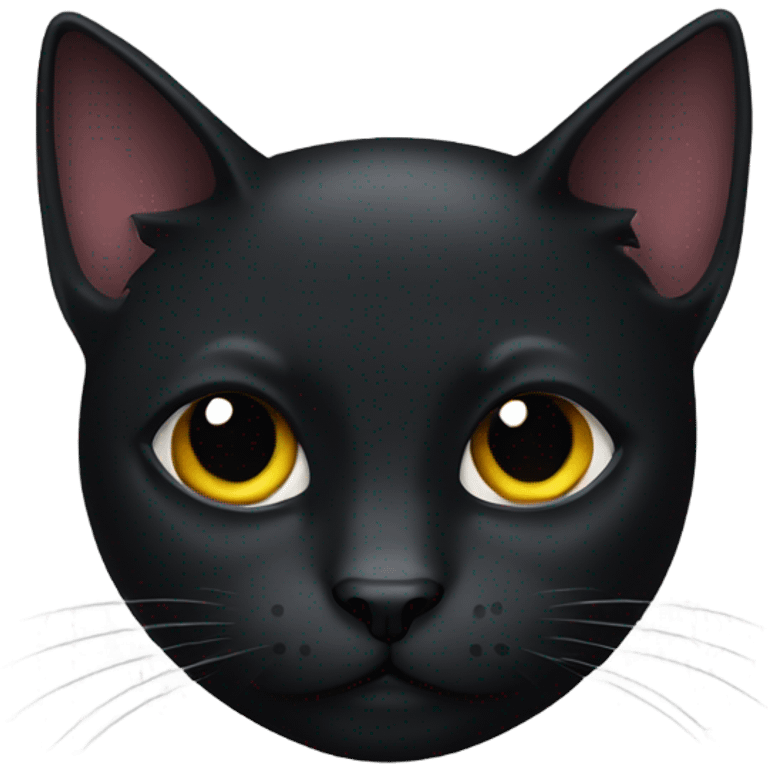 Black cat with a smug face emoji