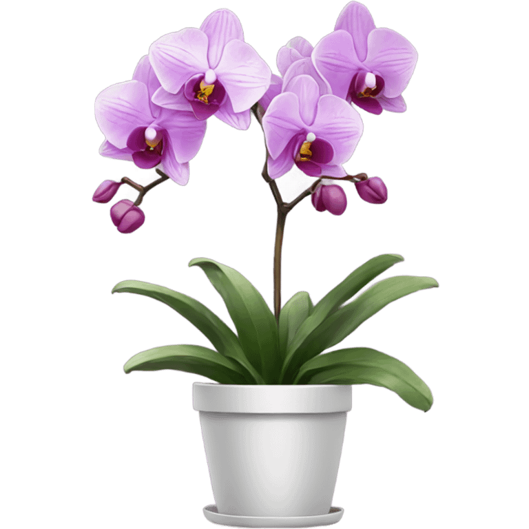 orchid in pot emoji