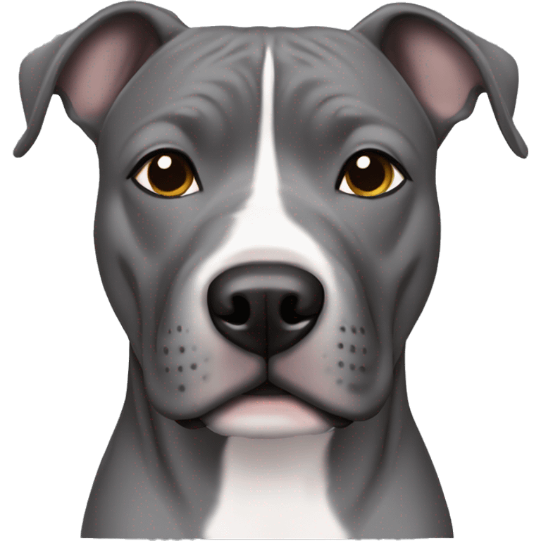 grey staffordshire terrier with grey eyes emoji