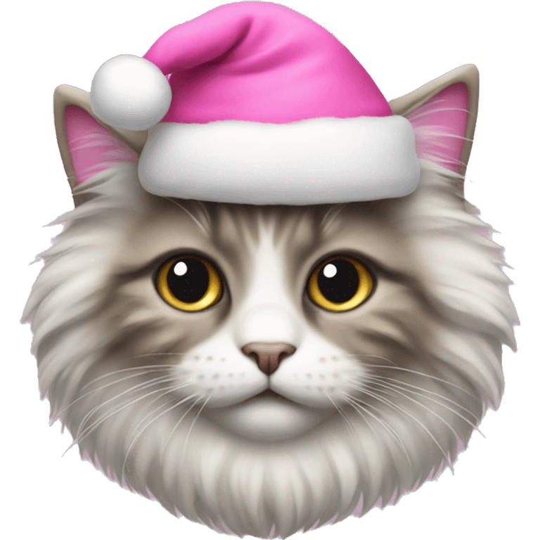 fluffy cat with a pink santa hat emoji