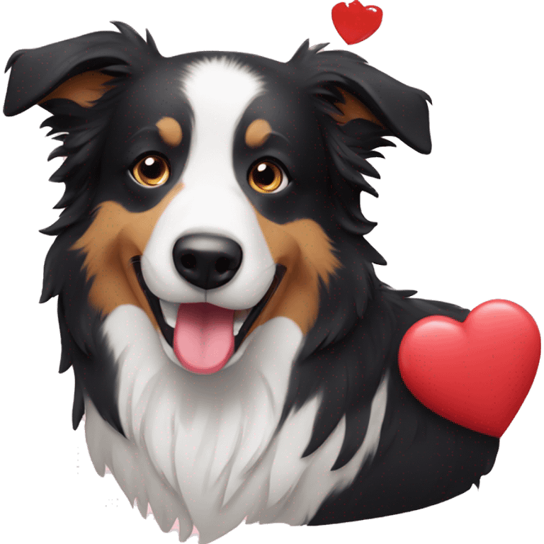 Bordercollie holding heart emoji