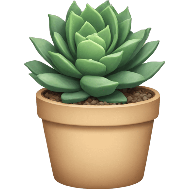 succulents  emoji