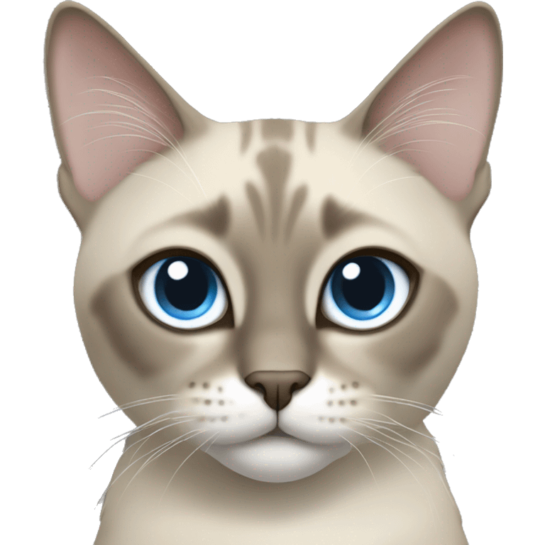 Thai breed cat with a light cream-brown body, dark gray face, ears, and paws. Short fur, sharp ears, and striking light blue eyes with an intense gaze. emoji