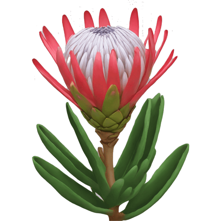 protea emoji