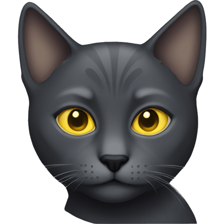 dark grey cat with yellow eyes  emoji