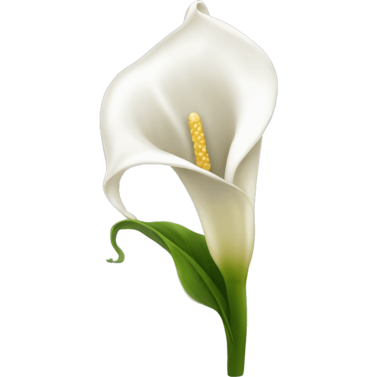 White Cala Lilly emoji