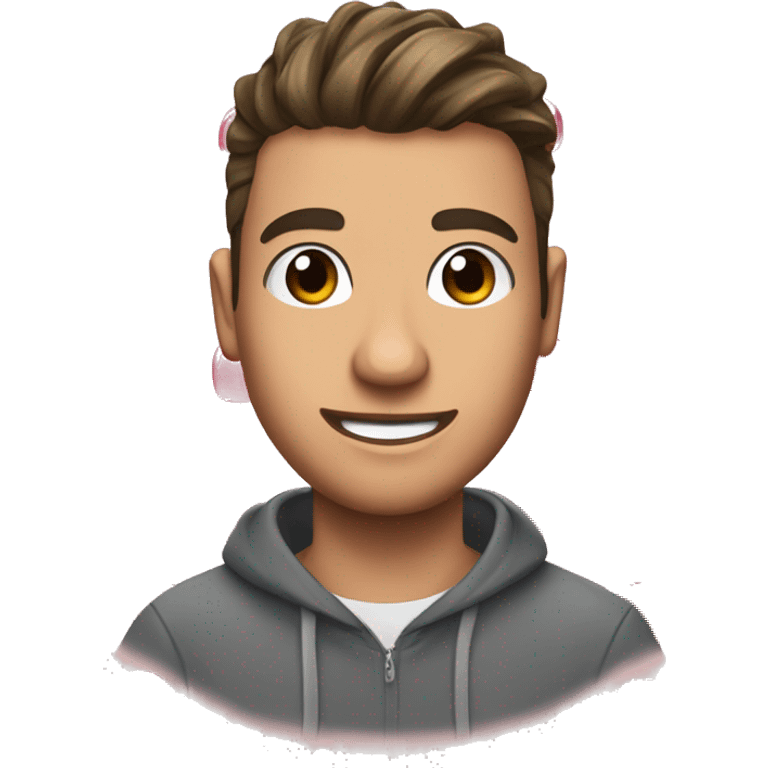 jelly youtuber jelle van vucht emoji