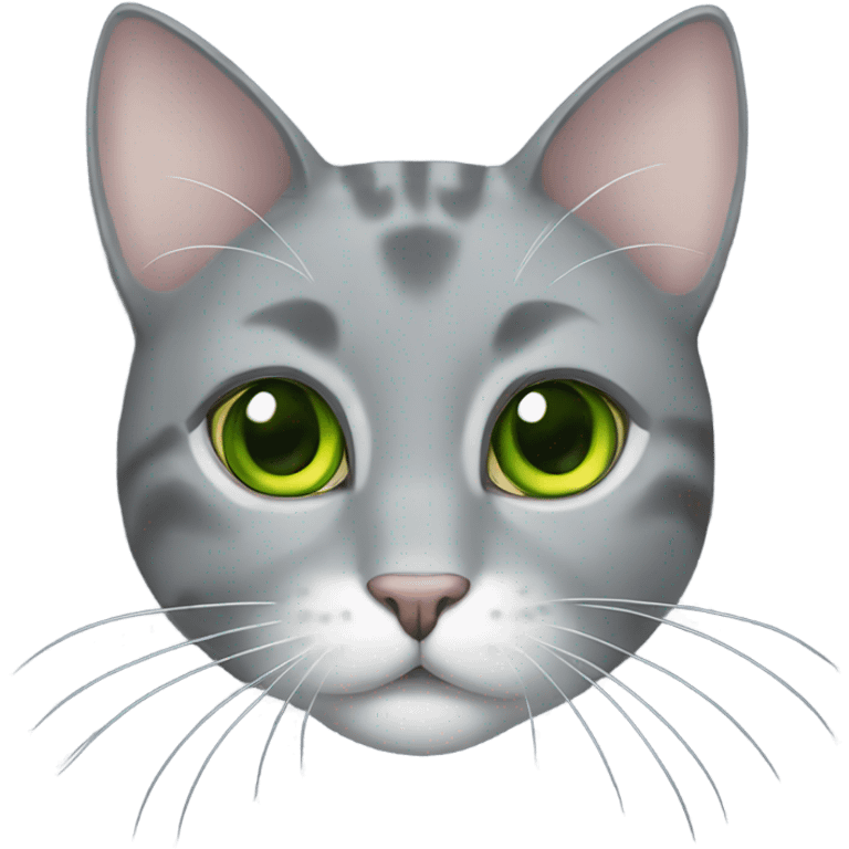 gray Cat green eyes eating fish emoji